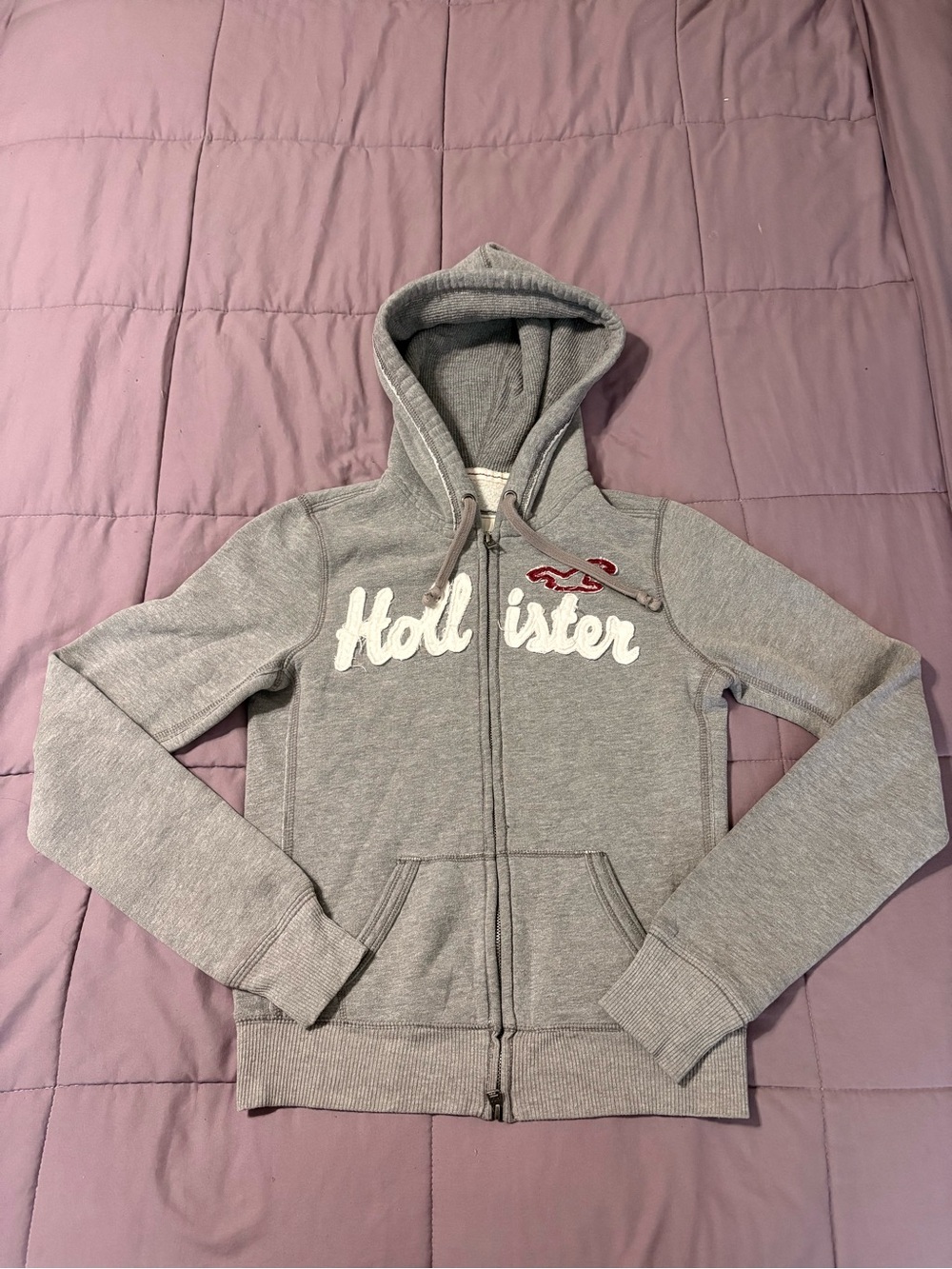 Y2K Teen Hollister Gray Zip-Up Hoodie Size Medium